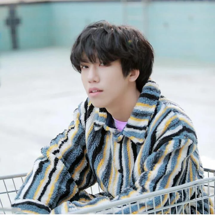 Biodata, Profil dan Fakta Unik Boy Story