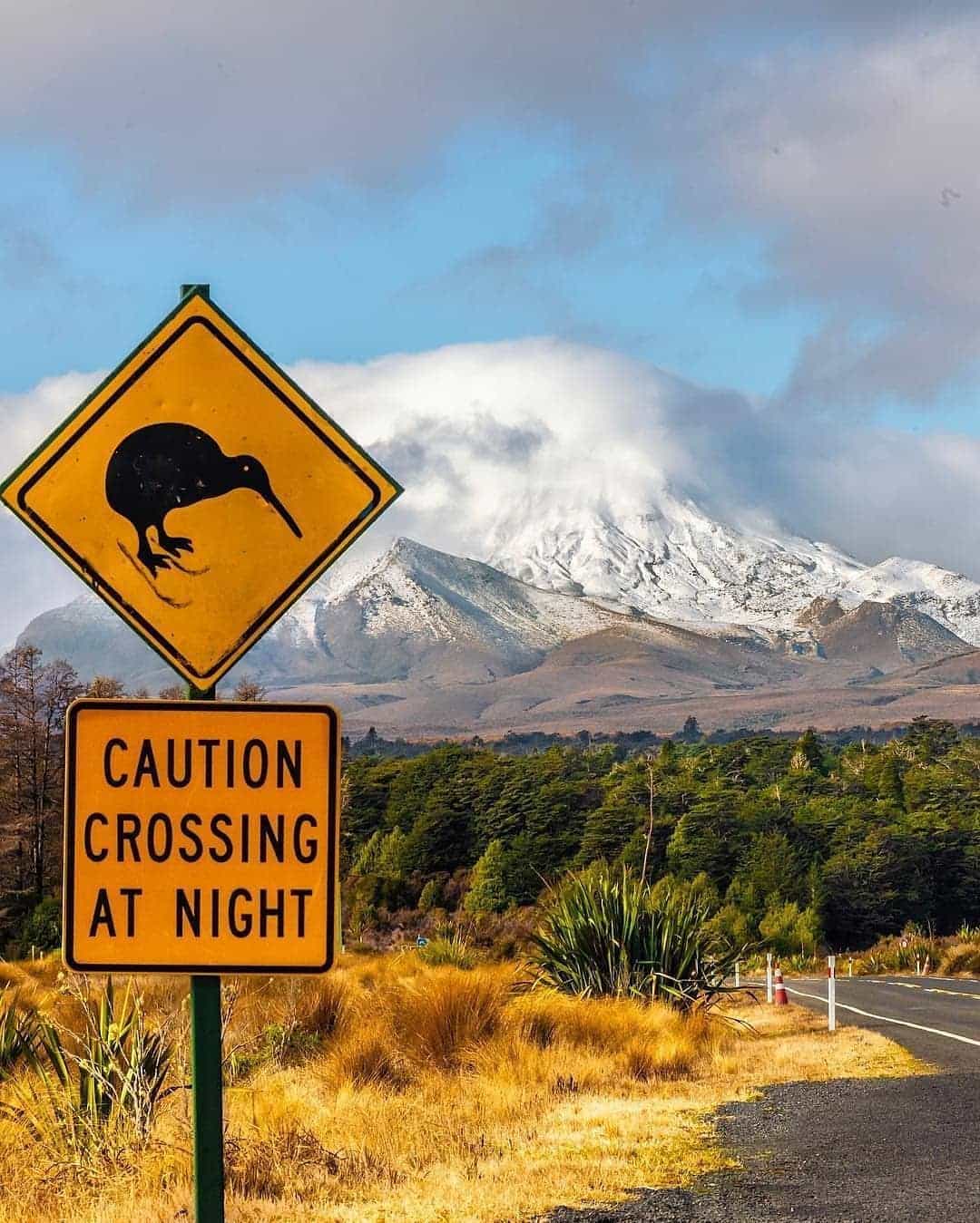 Menjelajahi Bentang Alam New Zealand, Seakan Masuk Ke Negeri Dongeng