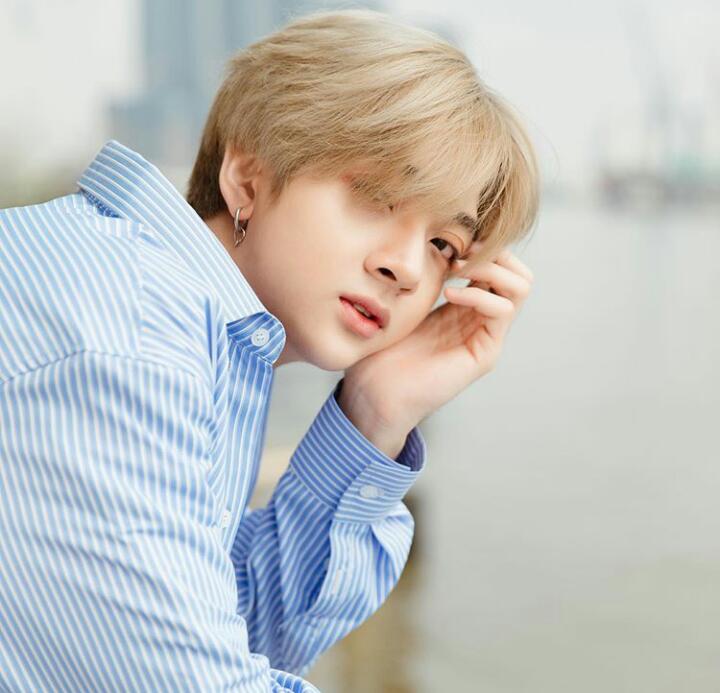 Biodata, Profil dan Fakta Unik D1VERSE