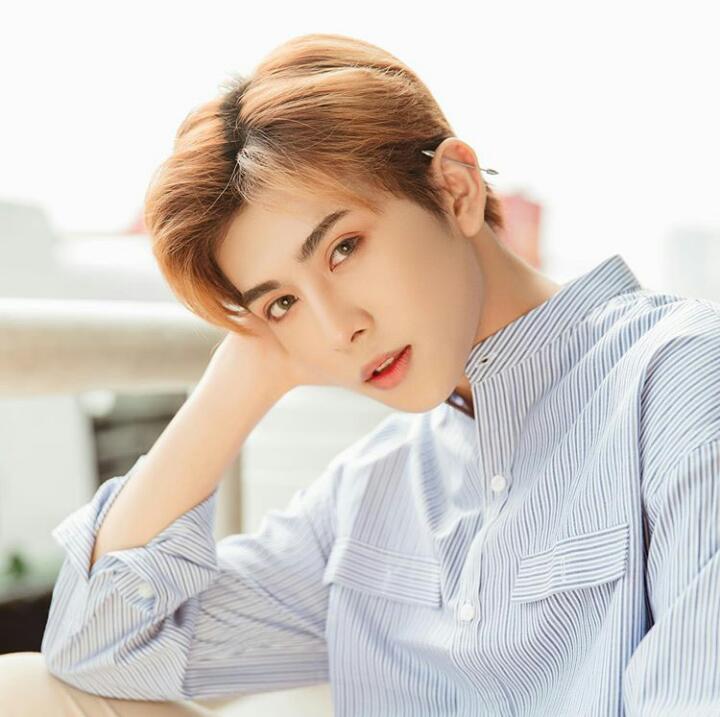 Biodata, Profil dan Fakta Unik D1VERSE