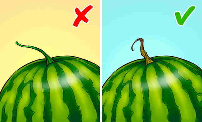 10 Ilustrasi Mudah Membedakan Makanan Berkualitas di Supermarket, Wajib Diketahui
