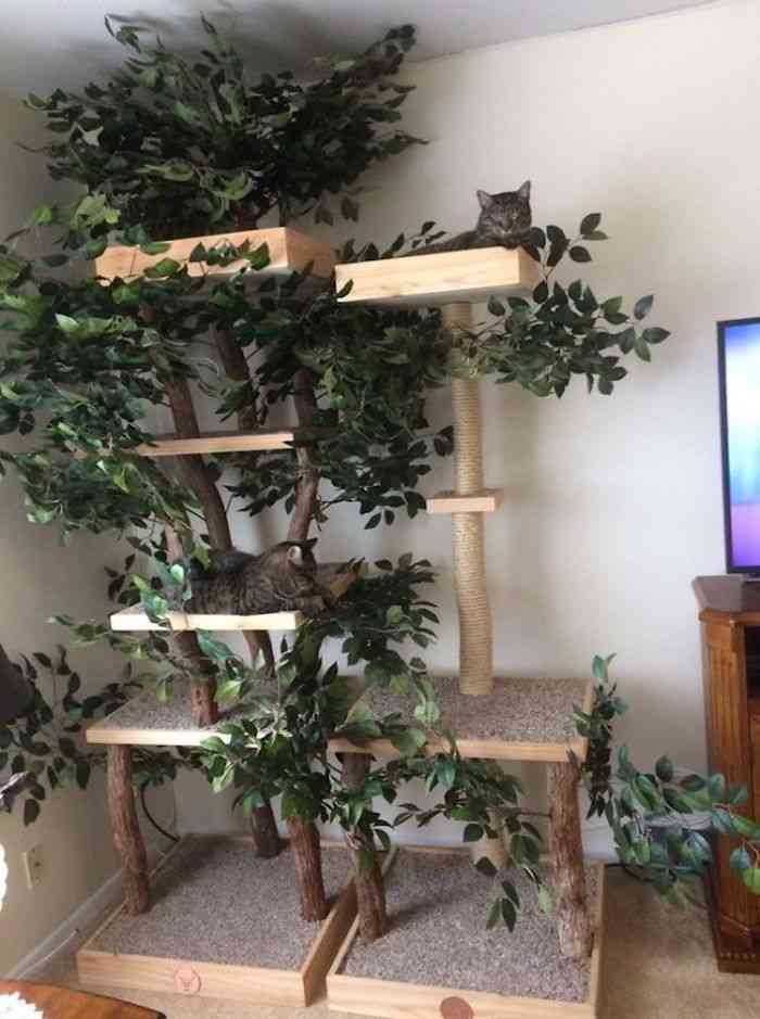 10 Tiang Garuk Kucing Berbentuk Rumah Pohon