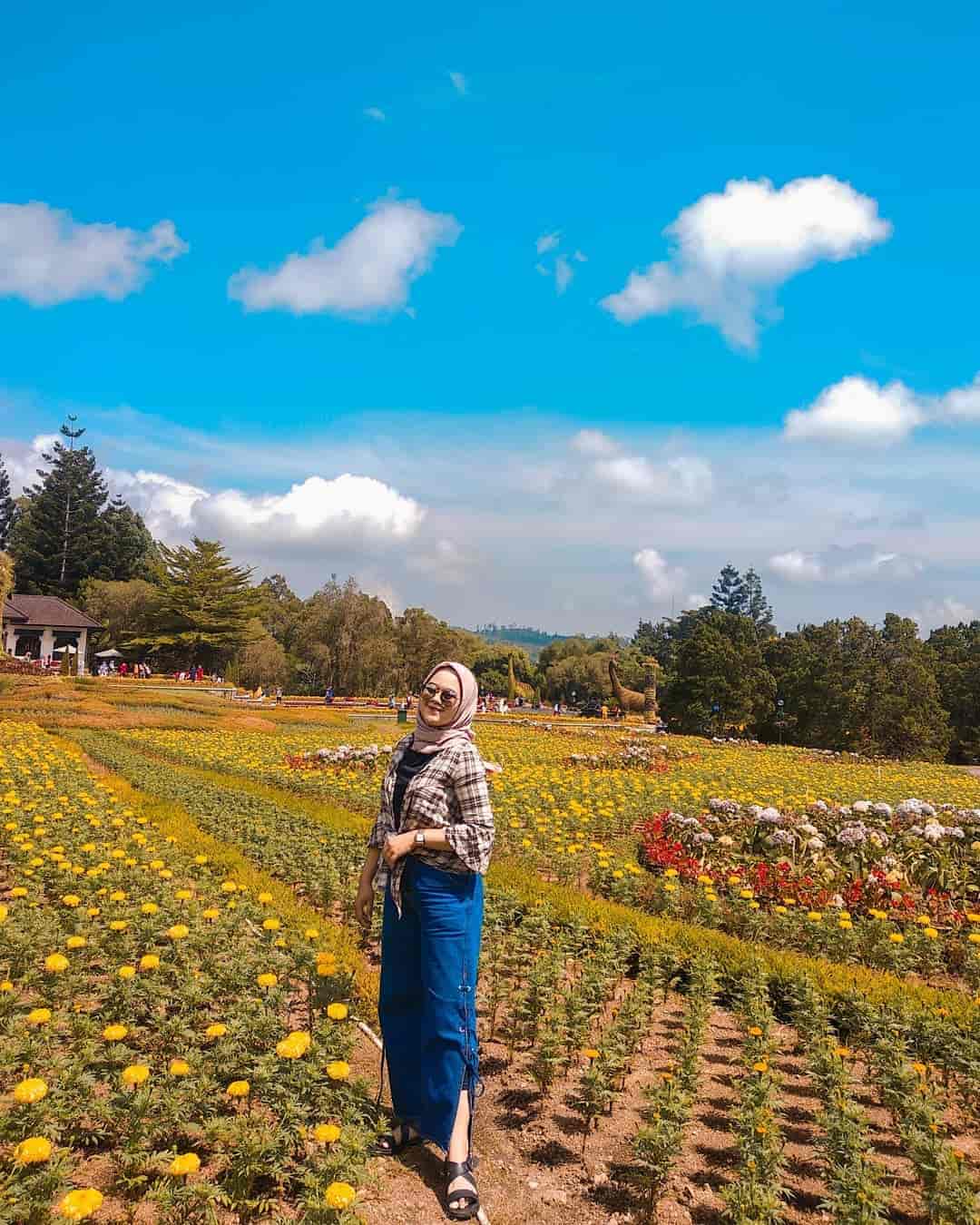 Taman Bunga Nusantara, Pesona Keindahan Taman Berbagai Tema!