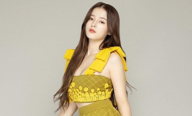 Biodata, Profil dan Fakta Nancy Momoland