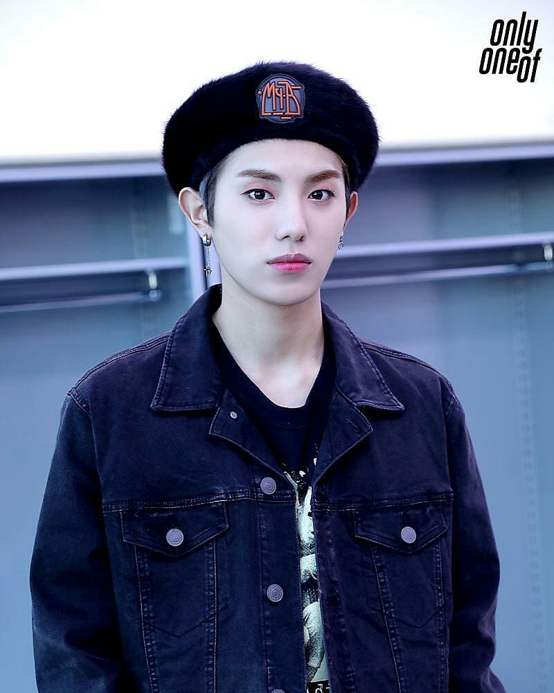 Biodata, Profil, dan Fakta OnlyOneOf