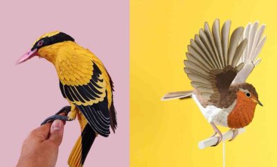 Tampak Nyata, 10 Potret Beragam Jenis Burung Ini Dibuat dengan Kertas