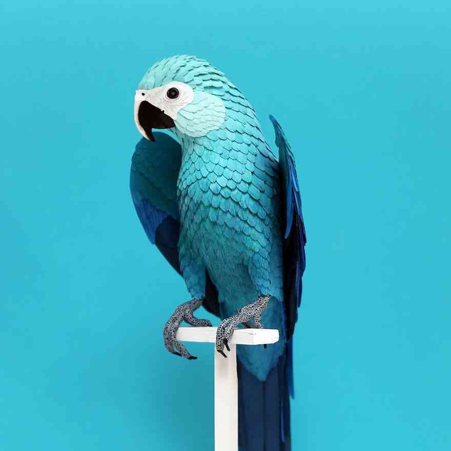 Tampak Nyata! Beragam Jenis Burung Ini Dibuat Dengan Kertas