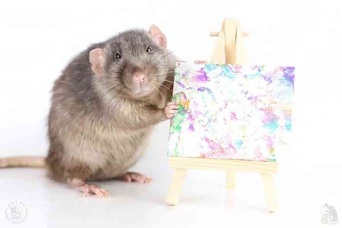 Penuh Bakat!  Lukisan Tikus Ini Dijual