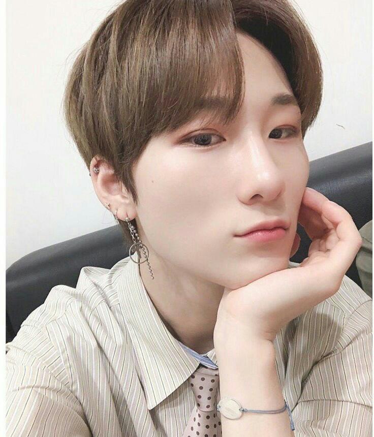 Biodata, Profil, dan Fakta Unik Member W24