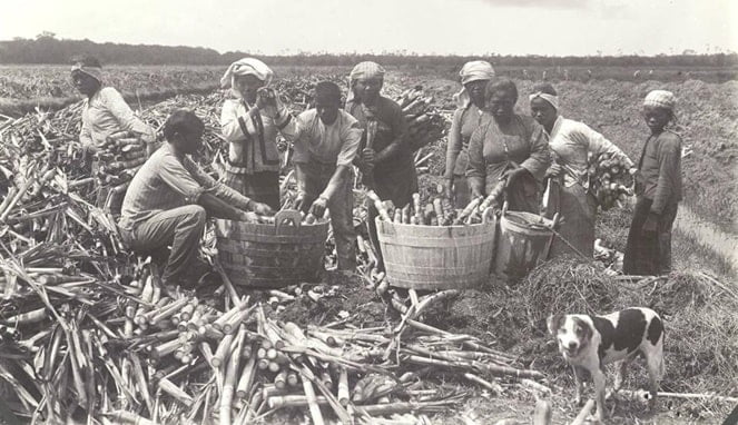 Suriname, Jauh dari Nusantara Tapi Banyak Penduduk Keturunan Jawa