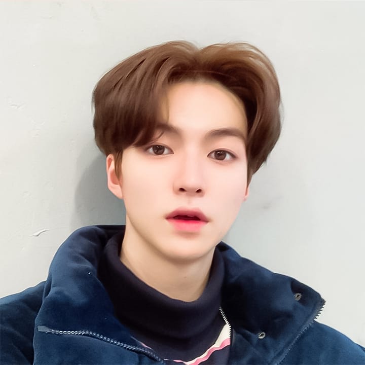 Biodata, Profil dan Fakta Member E’LAST