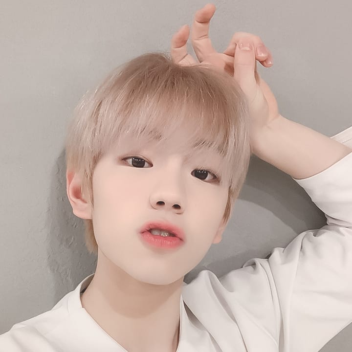 Biodata, Profil dan Fakta Member E’LAST