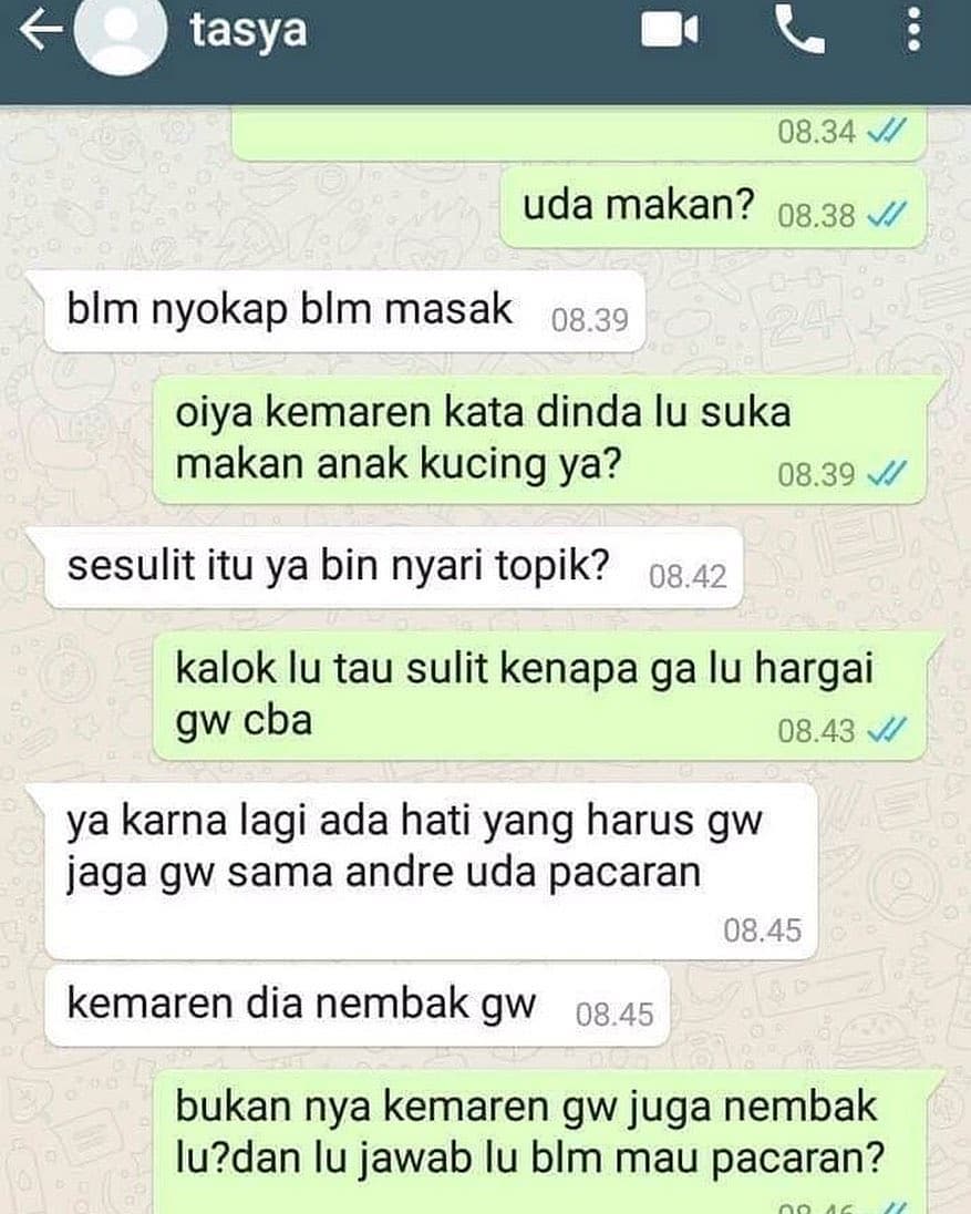 10 Chat Lucu Ini Buktikan Kalau Pdkt Sama Cewek Itu Nggak Gampang