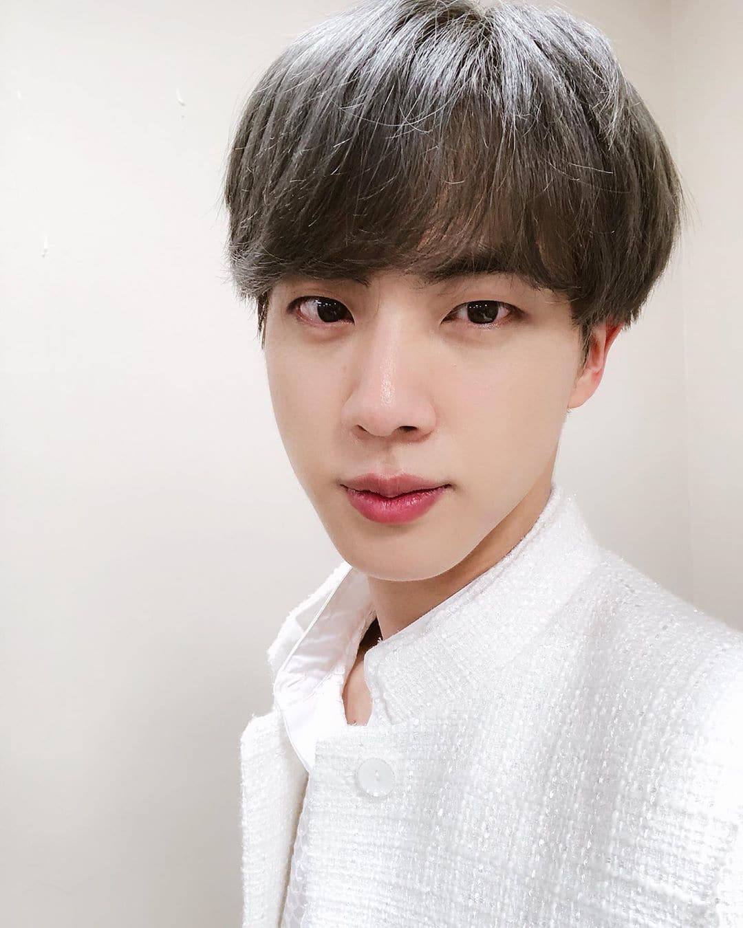 Jin BTS Pembenci