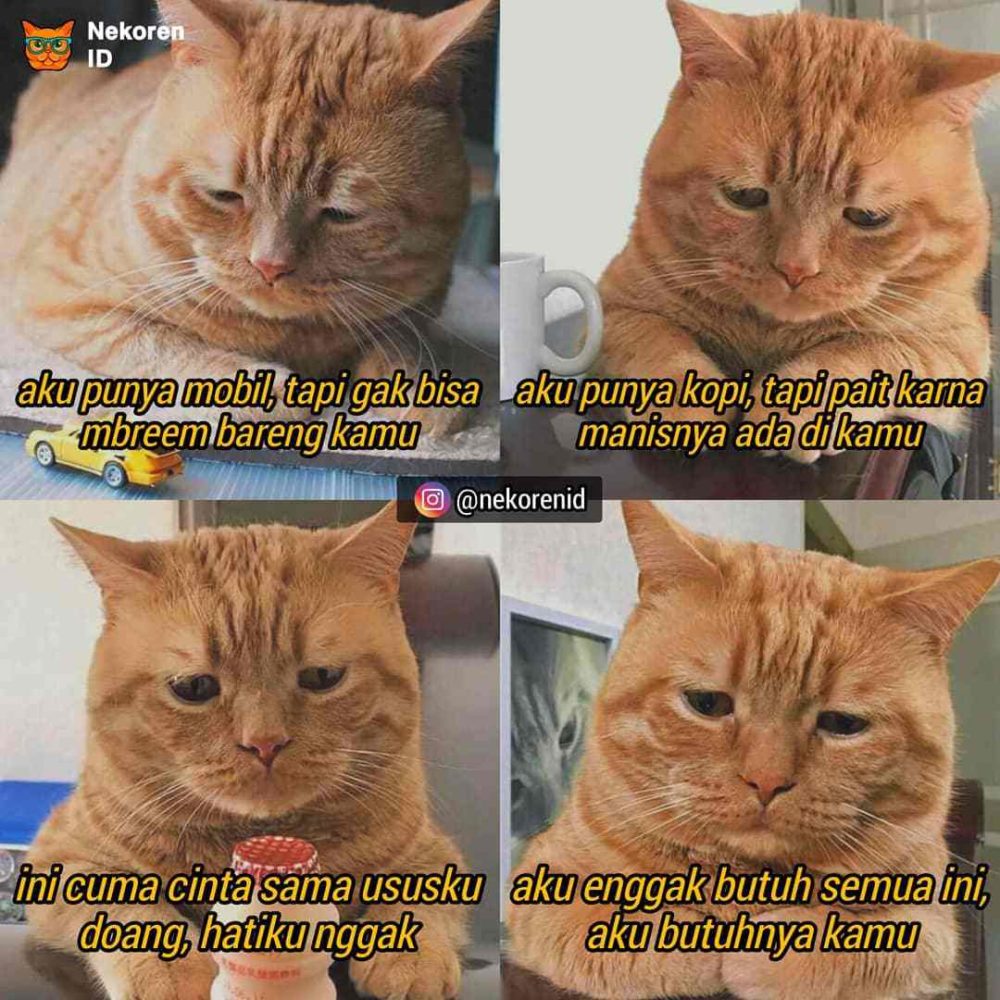 Nyesek! 10 Meme Kucing Oren ala Sadboy Ini Kocak Sekaligus Kasihan
