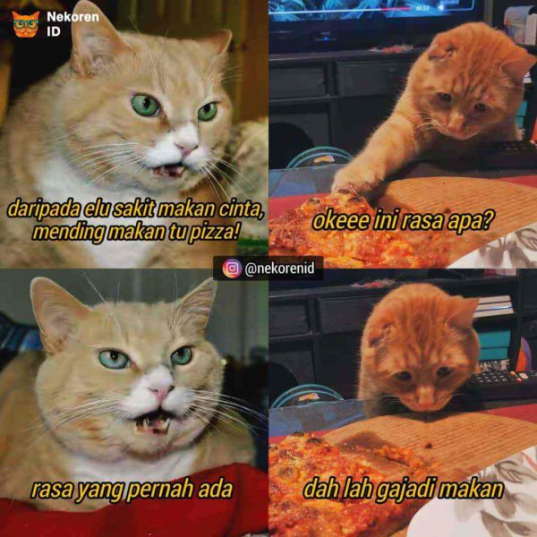 Nyesek! 10 Meme Kucing Oren ala Sadboy Ini Kocak Sekaligus Kasihan