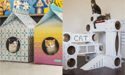 Gunakan Bahan Tak Terpakai, 10 Ide Rumah Kucing Terbuat dari Kardus
