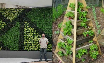 Terasa Adem, 10 Ide Desain Vertical Garden yang Artistik