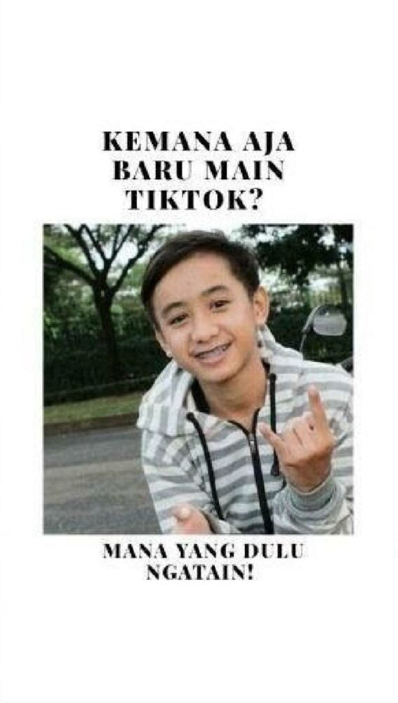 8 Meme Lucu Kecanduan TikTok yang Bikin Auto Goyang - Dailysia