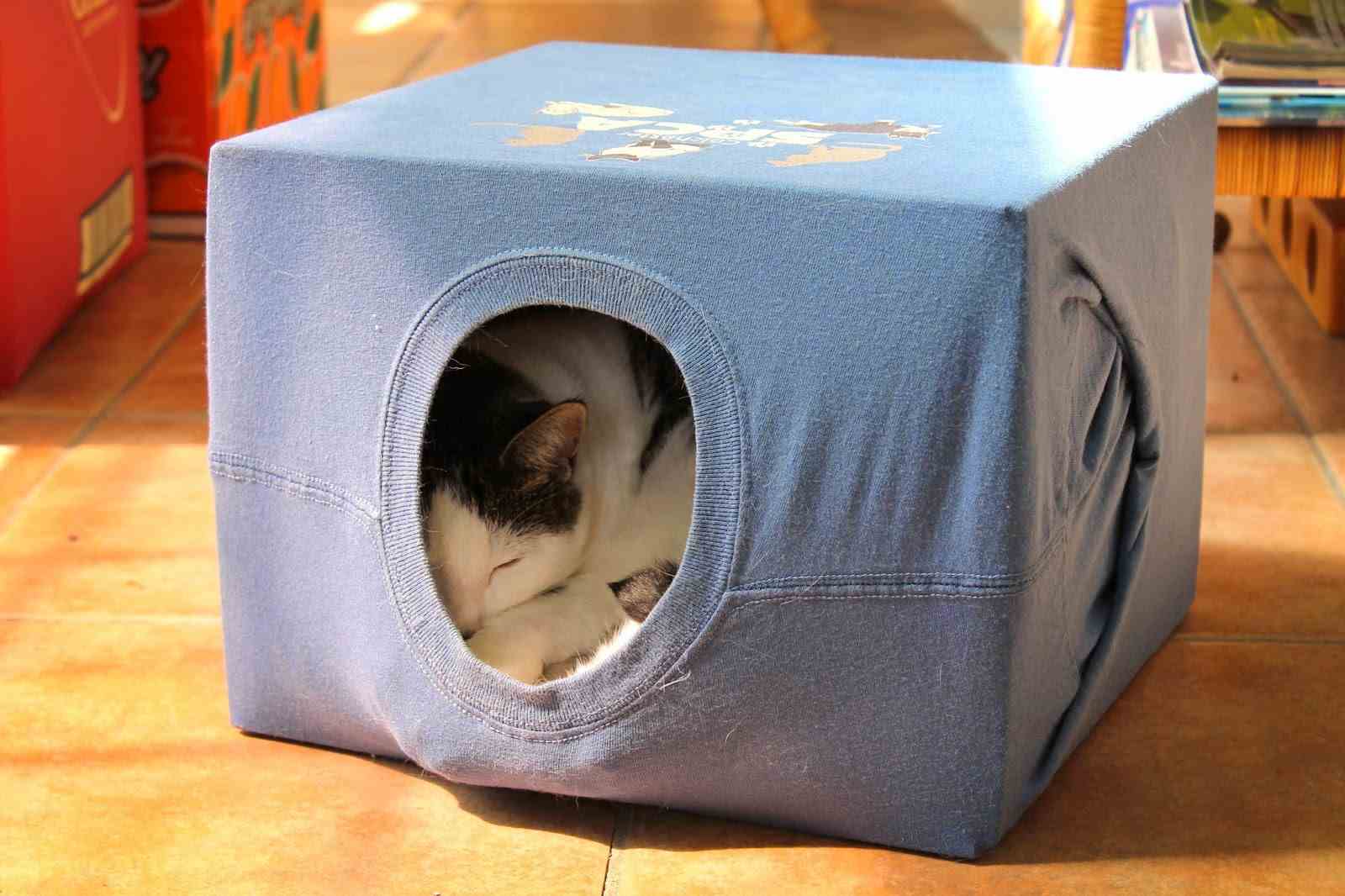 Gunakan Bahan Tak Terpakai, 10 Ide Rumah Kucing Terbuat dari Kardus
