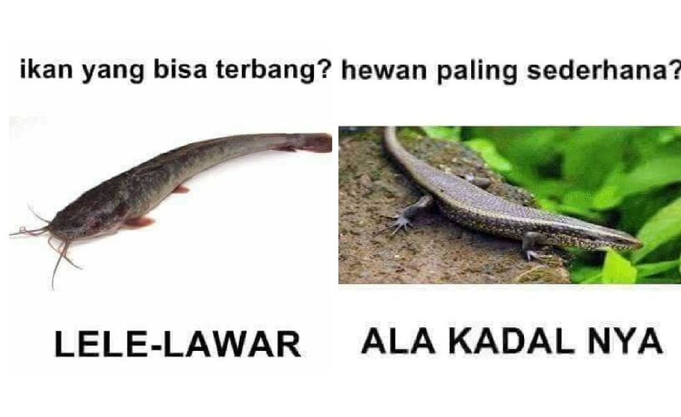 10 Tebaktebakan Kocak, Jawabannya Bikin Tepok Jidat