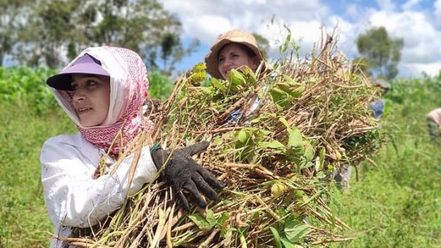 Mengenal Noiva do Cordeiro, Desa Unik di Brazil yang Semua Penduduknya Wanita