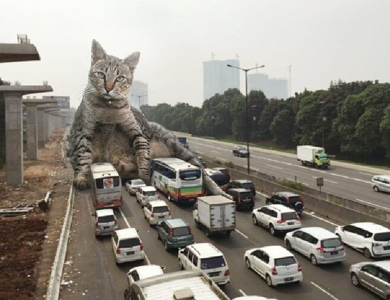 Gokil Banget! 10 Potret Editan Foto Kucing Raksasa yang Menguasai Dunia