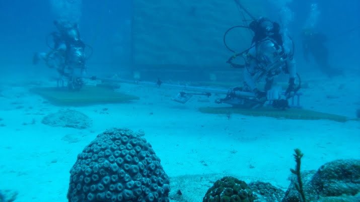 Misteri Point Nemo, Wilayah di Muka Bumi yang Paling Sulit Dikunjungi