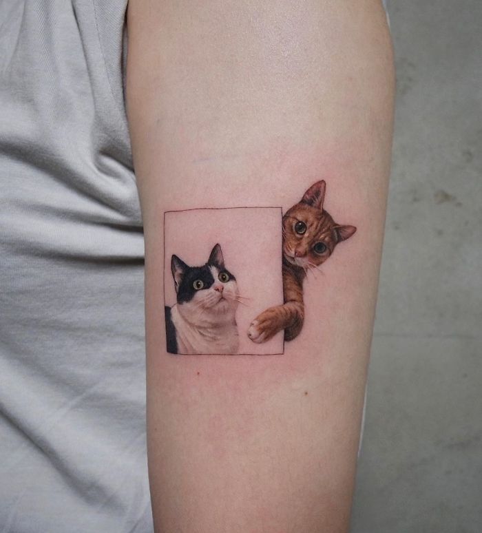 Menggemaskan 10 Potret Desain  Tato  Keren Bertema Kucing 