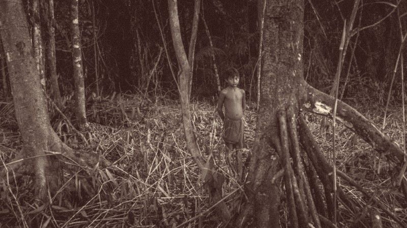 Menguak Keberadaan Makhluk Misterius di Pedalaman Aceh