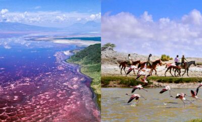Berusia 1 Juta Tahun, Danau Natron di Tanzania Terkenal Cantik tapi Mematikan