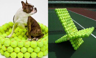 Memanfaatkan Bola Tenis Bekas, Ini 10 Kreasi Barang yang Dapat Dibuat