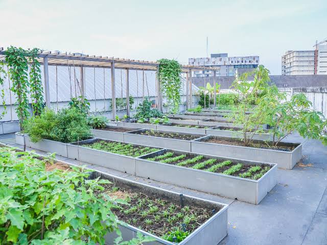 Adem, 10 Desain Rooftop yang Cocok untuk Tempat Nongkrong