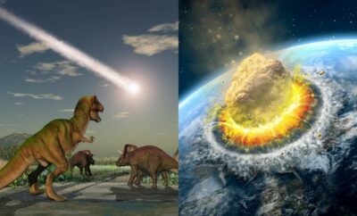 Chicxulub, Kawah Asteroid di Meksiko yang Memicu Punahnya Dinosaurus