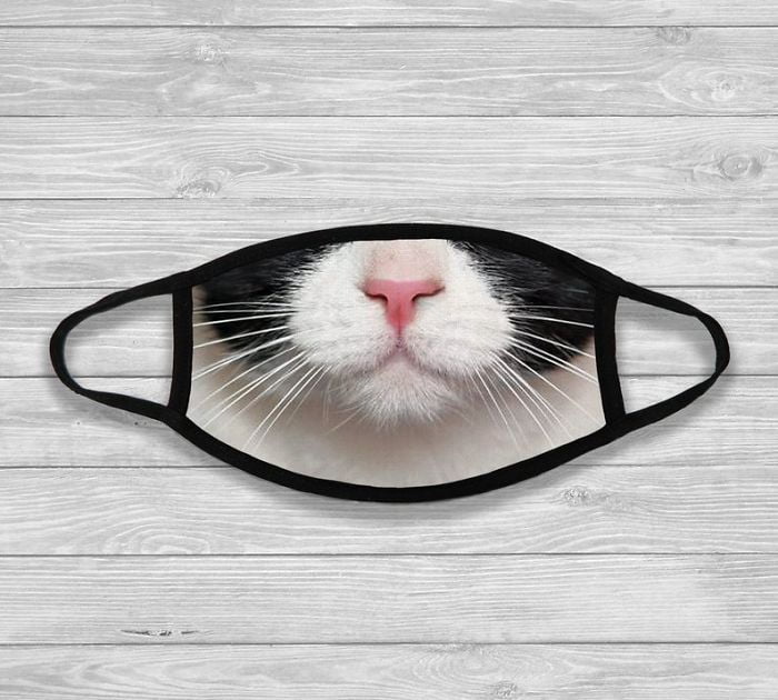 Gemas, 10 Masker Muka dengan Gambar Kucing Bikin Wajah Tampak Beda
