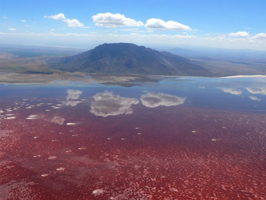 Berusia 1 Juta Tahun, Danau Natron di Tanzania Terkenal Cantik tapi Mematikan