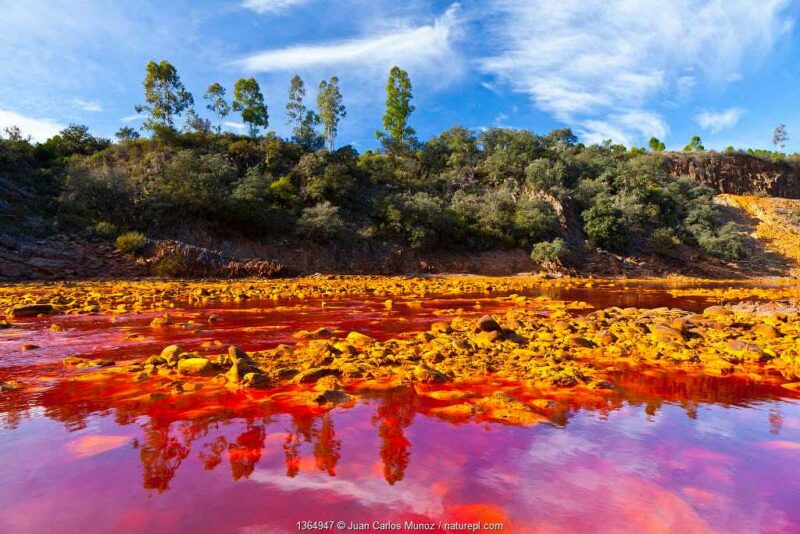 Terlihat Seperti Planet Mars, Sungai Rio Tinto di Spanyol Jadi 'Laboratorium Alami'