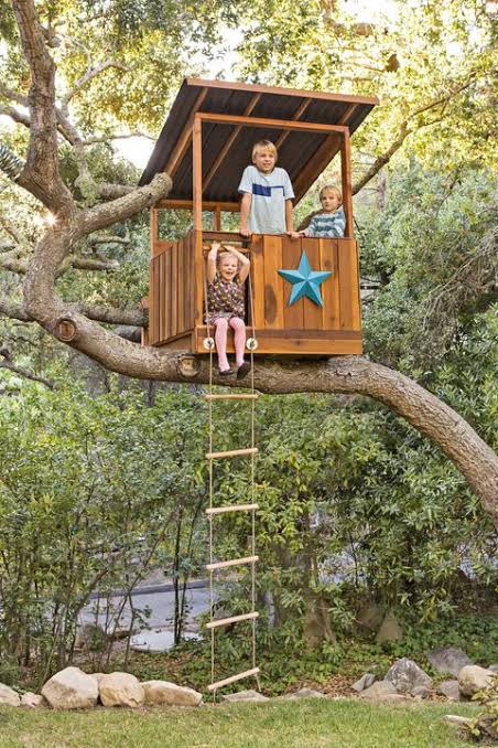 Dekat dengan Alam, 10 Potret Desain Rumah Pohon yang Bisa Jadi Spot Foto