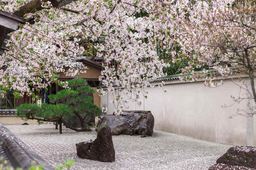 Sempurna untuk Pencari Ketenangan, 10 Desain Taman Zen Outdoor dan Indoor