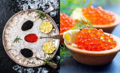 Mengenal Caviar, Makanan dari Telur Ikan yang Harganya Semahal Berlian