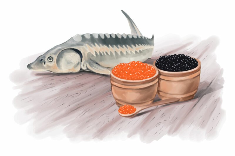 Mengenal Caviar Makanan dari Telur  Ikan  yang Harganya 