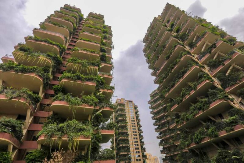 Unik dan Indah, Apartemen Berkonsep Hutan Vertikal di Chengdu Dapat Mengurangi Polusi