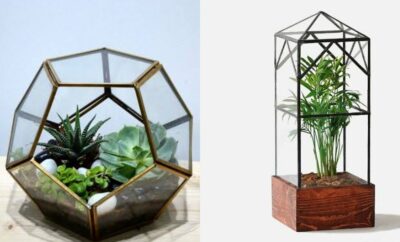10 Desain Terrarium, Dekorasi Mungil Cocok untuk Meja Kerja