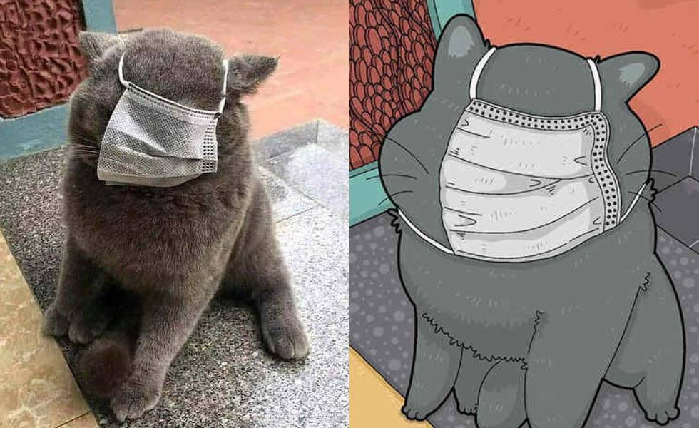 Sering Jadi Korban Meme, 10 Gambar Kucing dalam Bentuk Kartun - Dailysia