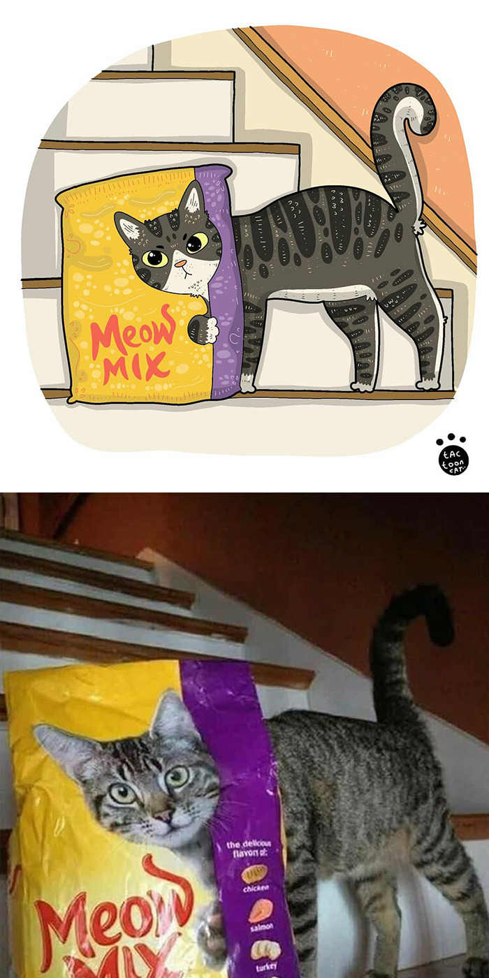 Sering jadi Korban Meme, 10 Gambar Kucing dalam Bentuk Kartun