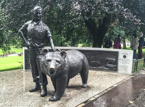 Beruang yang Bergabung dengan Perang dengan Tentara Polandia