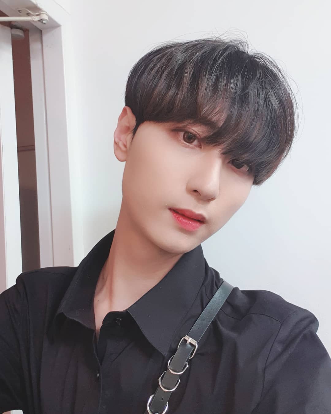 Biodata, Profil dan Fakta Unik Member MVP