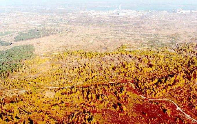 Pernah Terjadi Ledakan Nuklir, Chernobyl Jadi Kota Mati yang Berbahaya