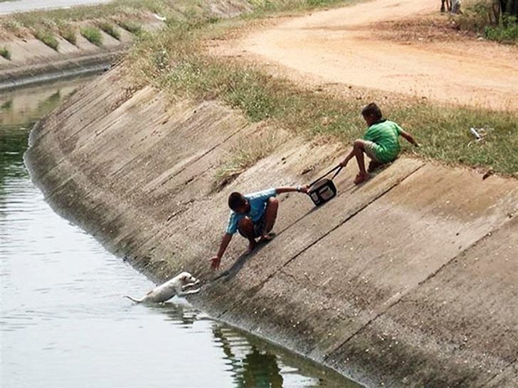 Inspiratif, 10 Potret Tingkah Laku Anak Kecil yang Bikin Terharu