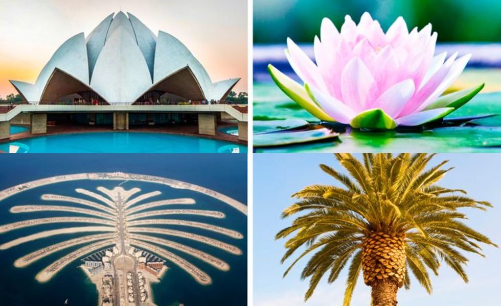 Keren Banget, 10 Bangunan Indah yang Terinspirasi dari Alam - Dailysia